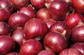 How Indian Agricultural Products Are Reaching Global Markets Through Reliable Export Partners