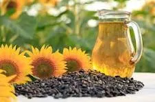 Oil Seeds