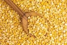 Chana Dal (Split Bengal Gram)