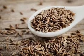 Cumin Seeds (Jeera)