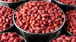 Groundnut (Peanuts)