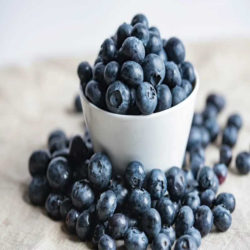 Fresh Blueberry