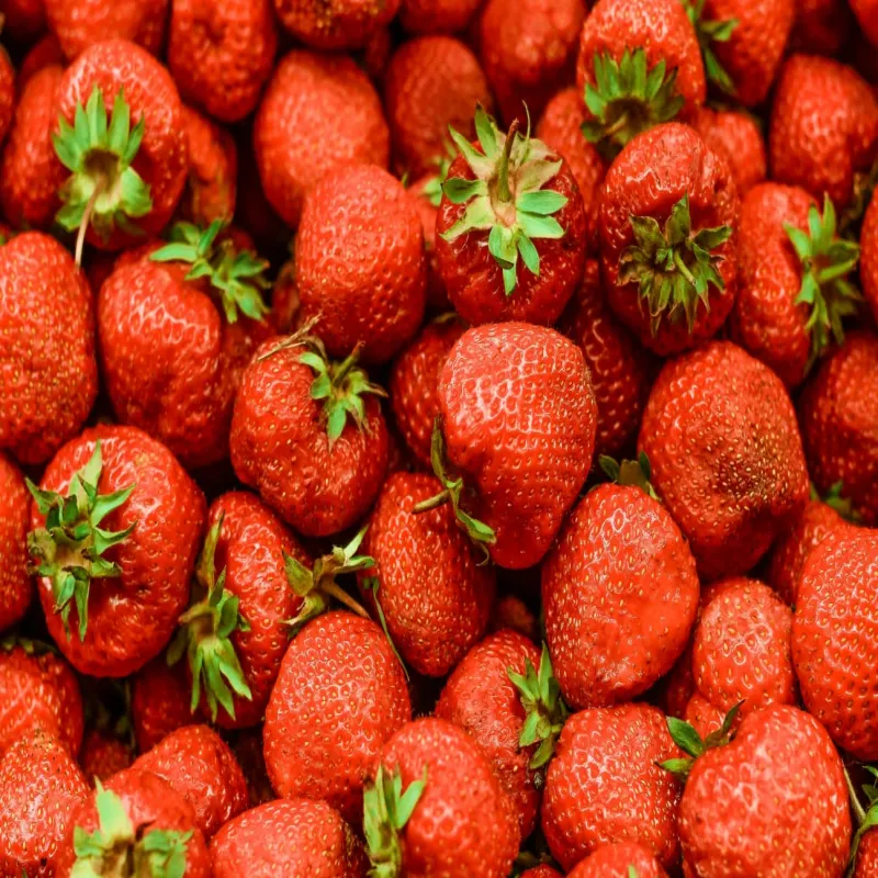 Fresh Strawberry